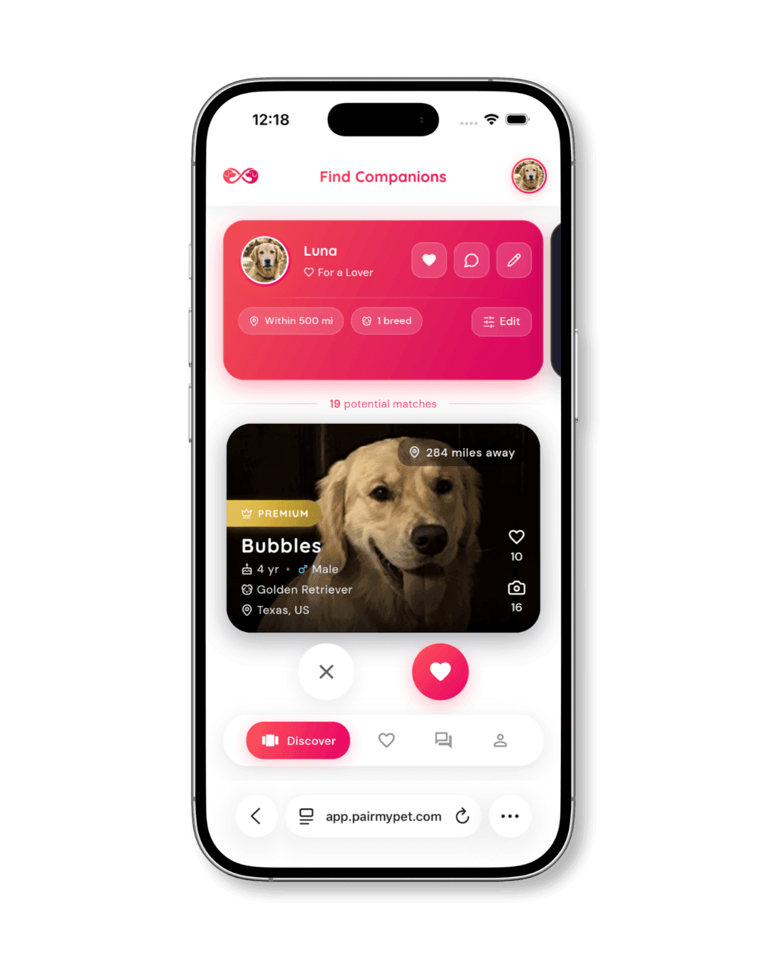 Browsing potential pet matches on PairMyPet's Discover feed.