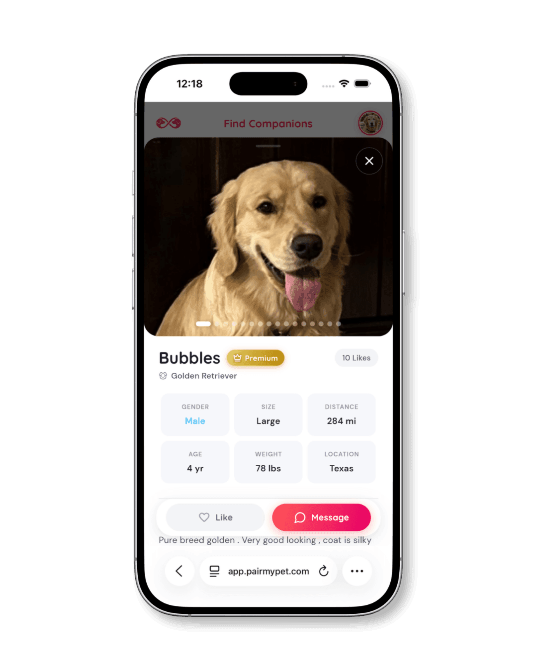 Viewing a detailed pet profile with stats and messaging option on PairMyPet.