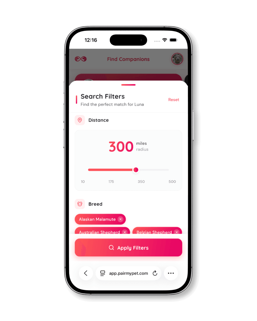 Using search filters on PairMyPet to refine matches by distance and breed.
